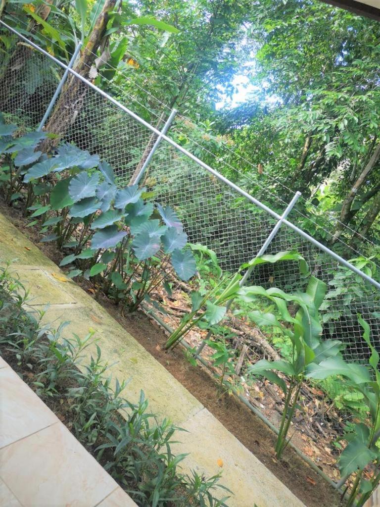 Arococles Hotel Luaran gambar